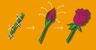 3e6a3-1y-t_yr_njm_2h2lcs61nkw